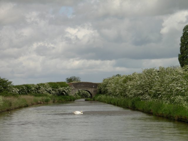 imgp0154.jpg