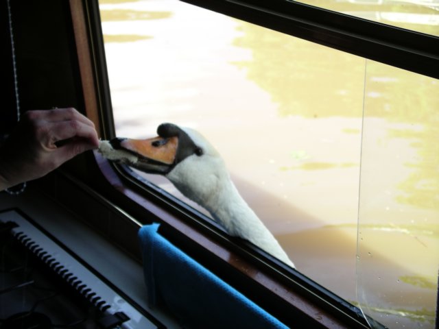 imgp0161.jpg