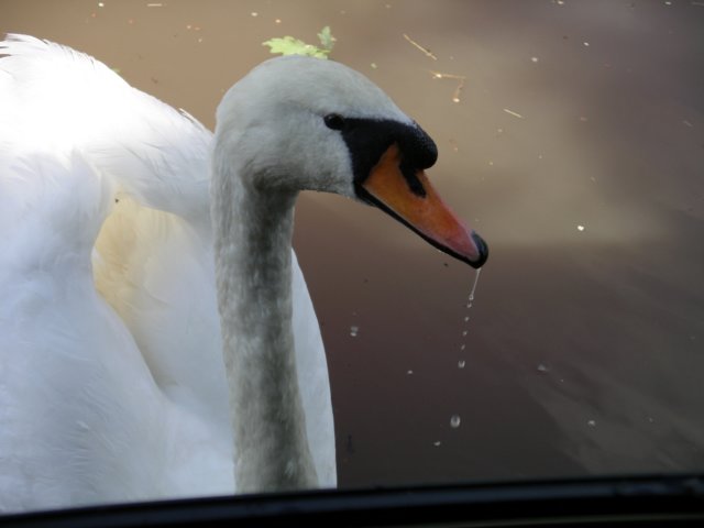 imgp0165.jpg