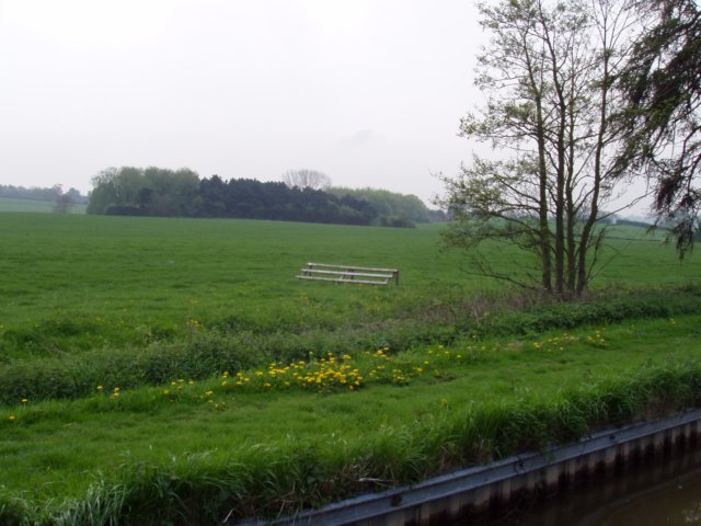 p1010230.jpg