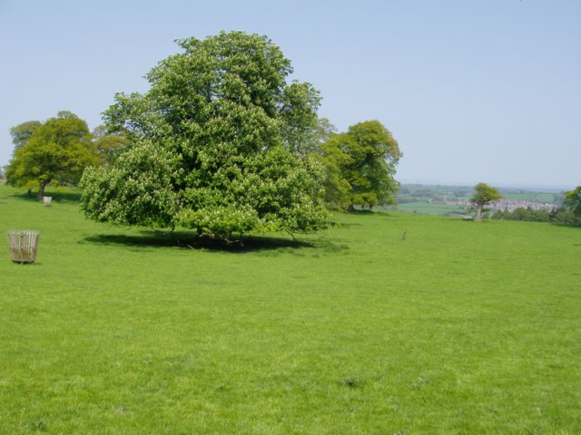 p1010256.jpg