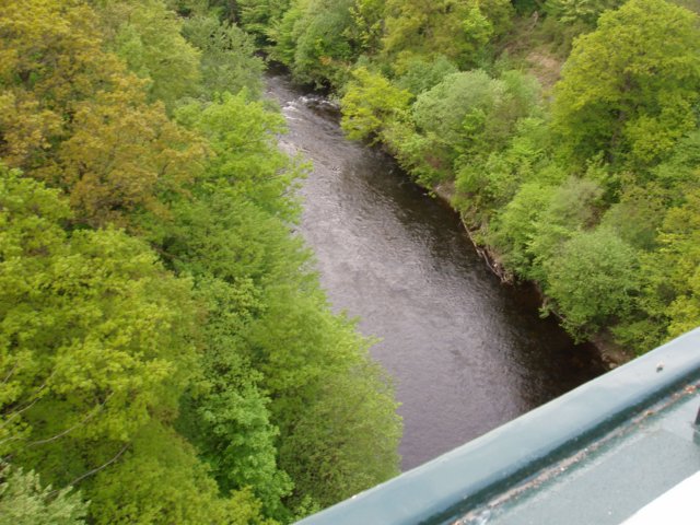 p1010259.jpg