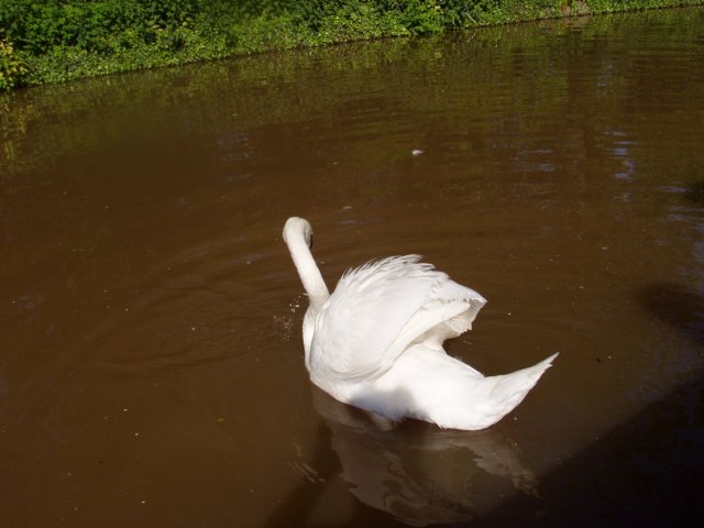 p1010349.jpg