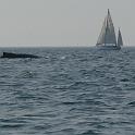 P1020639