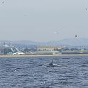 P1020649